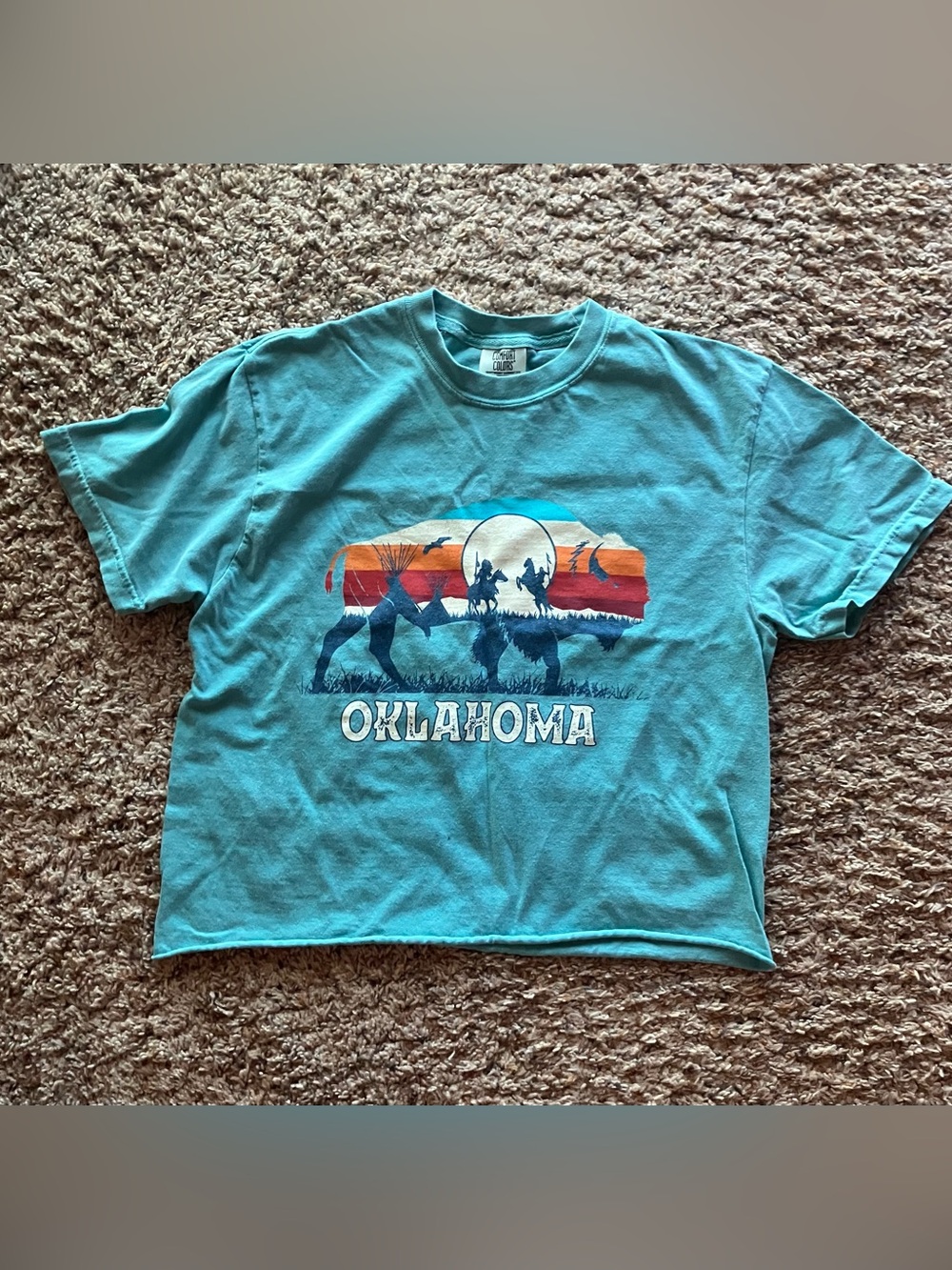 Oklahoma Half Crop Tee shirt comfort colors Size M sky blue bison native